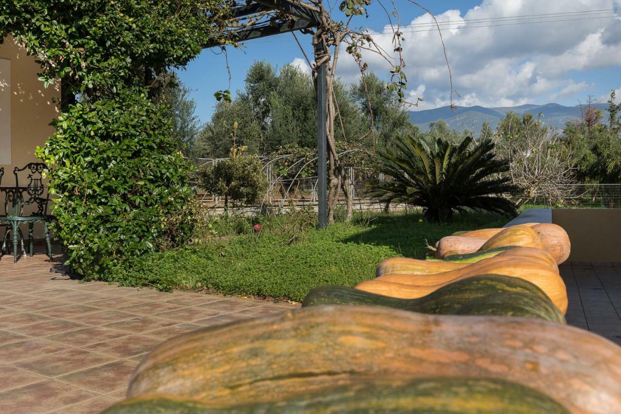 Olive Tree Villa Καλαμάτα Εξωτερικό φωτογραφία